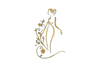 Silk Shape